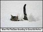 Click image for larger version

Name:	image001.jpg
Views:	198
Size:	36.7 KB
ID:	146004