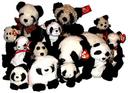 Name:  Panda bunch.jpg
Views: 323
Size:  4.9 KB
