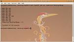 Click image for larger version

Name:	Screenshot-Linux-command-line.jpg
Views:	1222
Size:	164.6 KB
ID:	14709