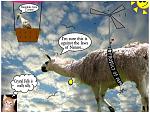 Click image for larger version

Name:	57_pshrynk_Llama-pinwheel.jpg
Views:	293
Size:	89.1 KB
ID:	14936