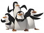 Click image for larger version

Name:	penguins2.jpg
Views:	275
Size:	240.2 KB
ID:	15336