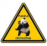 Click image for larger version

Name:	panda.JPG
Views:	245
Size:	37.3 KB
ID:	15337
