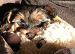 Click image for larger version

Name:	IMG_7461 copy.jpg
Views:	564
Size:	64.8 KB
ID:	160448