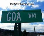 Click image for larger version

Name:	goa.jpg
Views:	288
Size:	36.7 KB
ID:	161073