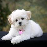 Click image for larger version

Name:	Bie8rNCCEAExrUq.jpg
Views:	60
Size:	34.0 KB
ID:	170923
