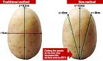 Click image for larger version

Name:	potato.jpg
Views:	51
Size:	41.9 KB
ID:	172082
