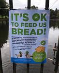 Click image for larger version

Name:	ducksbread.jpg
Views:	312
Size:	64.5 KB
ID:	174357