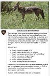 Click image for larger version

Name:	EU3wnFJX0AAlOAv.jpg
Views:	271
Size:	99.3 KB
ID:	178140