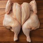 Click image for larger version

Name:	OrgChicken_Whole_flattened.jpg
Views:	54
Size:	259.7 KB
ID:	184027