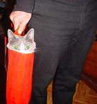 Click image for larger version

Name:	bestioleemporter2.jpg
Views:	219
Size:	22.3 KB
ID:	18801