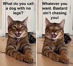 Click image for larger version

Name:	b126cbcfaa1c23c7.jpeg
Views:	3296
Size:	80.7 KB
ID:	194423