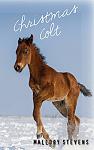Click image for larger version

Name:	41GRuu8AJEL.jpg
Views:	188
Size:	29.0 KB
ID:	198337