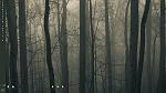 Click image for larger version

Name:	my desktop.jpg
Views:	59
Size:	1.10 MB
ID:	204702