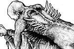 Click image for larger version

Name:	blood-eagle.jpg
Views:	190
Size:	83.9 KB
ID:	207322