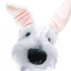 Name:  Rabbit_Or_Dog.gif
Views: 474
Size:  7.2 KB