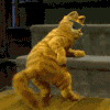 Name:  cat_shake.gif
Views: 330
Size:  21.0 KB