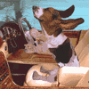 Name:  dog_joyride.gif
Views: 578
Size:  14.7 KB