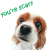 Name:  You_Are_Scary.gif
Views: 262
Size:  6.5 KB