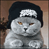 Name:  gray_cat_thinking.gif
Views: 647
Size:  31.0 KB