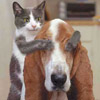 Name:  guess_who1.jpg
Views: 363
Size:  4.5 KB