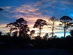 Click image for larger version

Name:	seagrove.jpg
Views:	187
Size:	39.5 KB
ID:	28018
