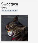Click image for larger version

Name:	sweetpea.png
Views:	533
Size:	41.8 KB
ID:	28763