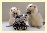 Click image for larger version

Name:	8069233-md.jpg
Views:	185
Size:	63.1 KB
ID:	29354