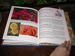 Click image for larger version

Name:	Book 3.JPG
Views:	289
Size:	68.2 KB
ID:	29882
