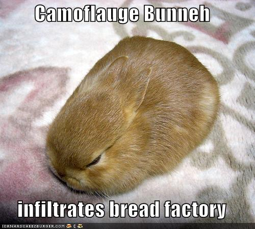Name:  camo bunneh.bmp
Views: 287
Size:  657.8 KB