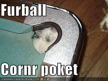 Name:  furball.bmp
Views: 178
Size:  270.2 KB