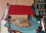 Click image for larger version

Name:	Sleeping Max-med.jpg
Views:	208
Size:	39.7 KB
ID:	30081