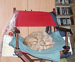 Click image for larger version

Name:	Sleeping tumbler-med.jpg
Views:	199
Size:	53.8 KB
ID:	30082