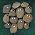 Name:  pet rocks.jpg
Views: 506
Size:  3.9 KB