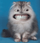 Click image for larger version

Name:	033.gif
Views:	444
Size:	125.3 KB
ID:	30669