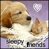 Name:  sweet_sleepy_friends.gif
Views: 278
Size:  12.7 KB