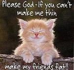 Click image for larger version

Name:	make me thin.jpg
Views:	190
Size:	28.0 KB
ID:	30700