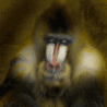 Name:  gdpit_com_63508940_986.gif
Views: 672
Size:  130.3 KB