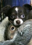 Click image for larger version

Name:	snuggle up.jpg
Views:	317
Size:	68.1 KB
ID:	30975