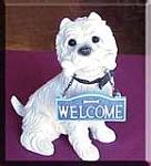 Click image for larger version

Name:	welcome doggie.jpg
Views:	327
Size:	4.8 KB
ID:	31516