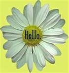 Click image for larger version

Name:	hello flower.jpg
Views:	205
Size:	4.4 KB
ID:	31555