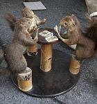 Click image for larger version

Name:	squirrels playing poker.jpg
Views:	176
Size:	201.6 KB
ID:	31583