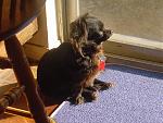Click image for larger version

Name:	Taco Sunning.jpg
Views:	237
Size:	68.7 KB
ID:	31634