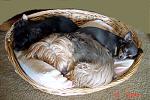 Click image for larger version

Name:	DSC02092.JPG
Views:	243
Size:	859.0 KB
ID:	31639