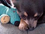 Click image for larger version

Name:	DSC01508.JPG
Views:	249
Size:	1.10 MB
ID:	31641