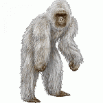 Click image for larger version

Name:	Yeti.gif
Views:	226
Size:	15.1 KB
ID:	32403