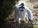 Click image for larger version

Name:	Yeti_Doll.jpg
Views:	216
Size:	102.0 KB
ID:	32404