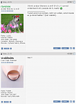 Click image for larger version

Name:	avatar thievery02.png
Views:	266
Size:	122.4 KB
ID:	34966