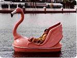Click image for larger version

Name:	flamingo paddle boat.jpg
Views:	167
Size:	8.2 KB
ID:	35691