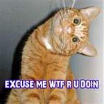 Click image for larger version

Name:	Blackcat.jpg
Views:	1311
Size:	4.7 KB
ID:	38050