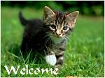 Click image for larger version

Name:	kittywelcome.jpg
Views:	139
Size:	9.4 KB
ID:	38137